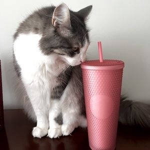 Matte Pink Spiked Starbucks Cup Venti